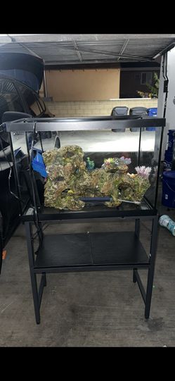 Fish Tank With Filter and Decor