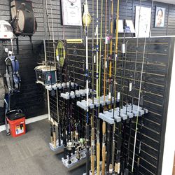 Fishing Poles/ Rods And Fishing Reels 