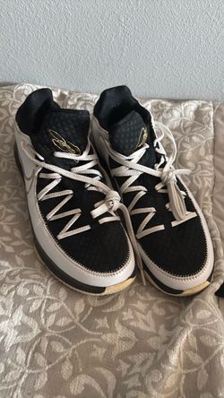 Labron shoes