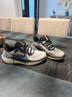 Nike Pegasus Mens