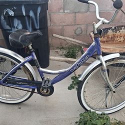 La Joya cruiser 26"