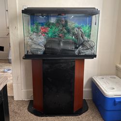 40 Gallon Fish Tank W/ New Light & Filter 