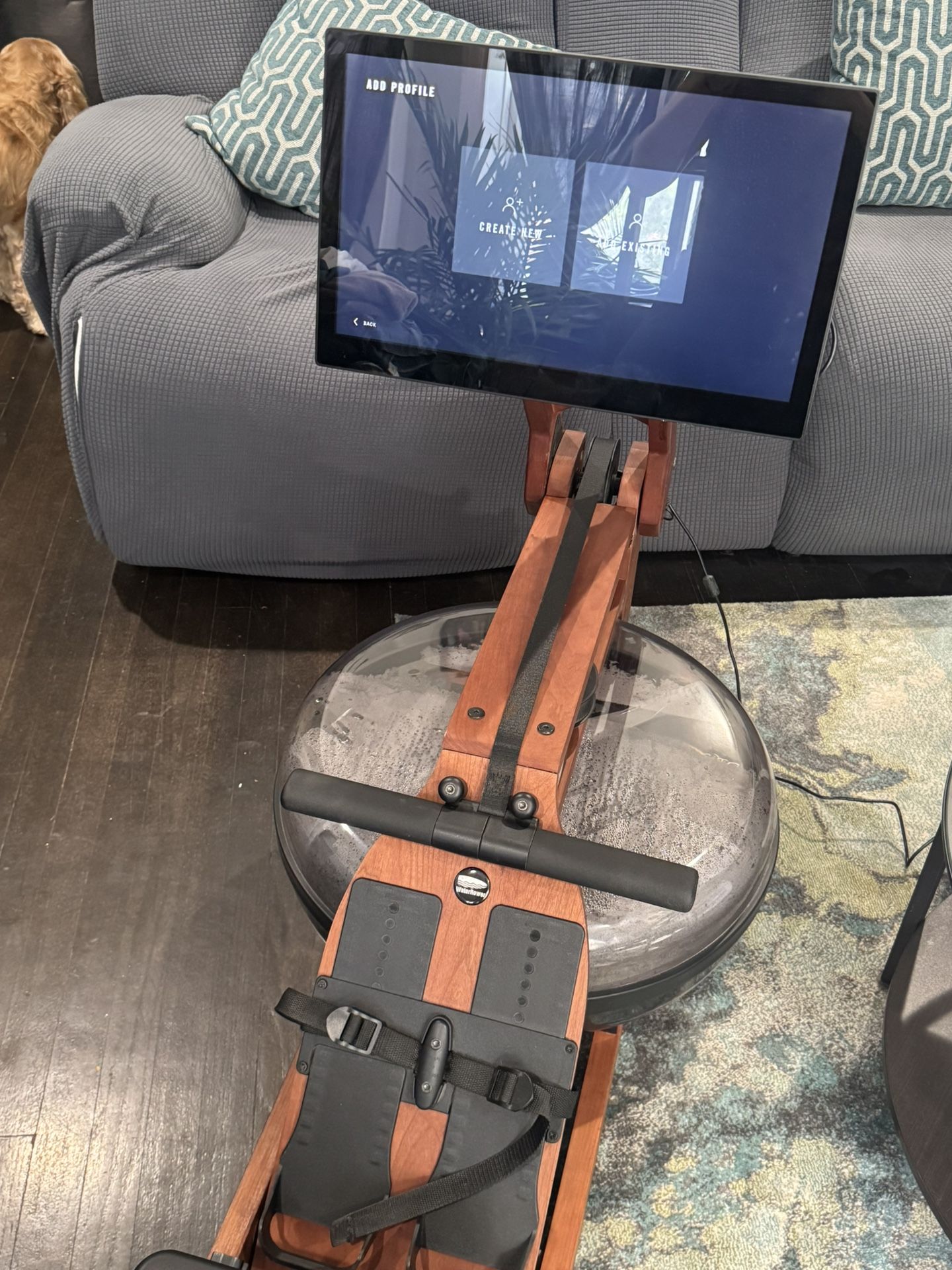 ERGATTA ROWER MACHINE