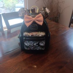 DisneyWorld Purse/ Backpack