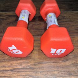 TEN LB WEIGHTS