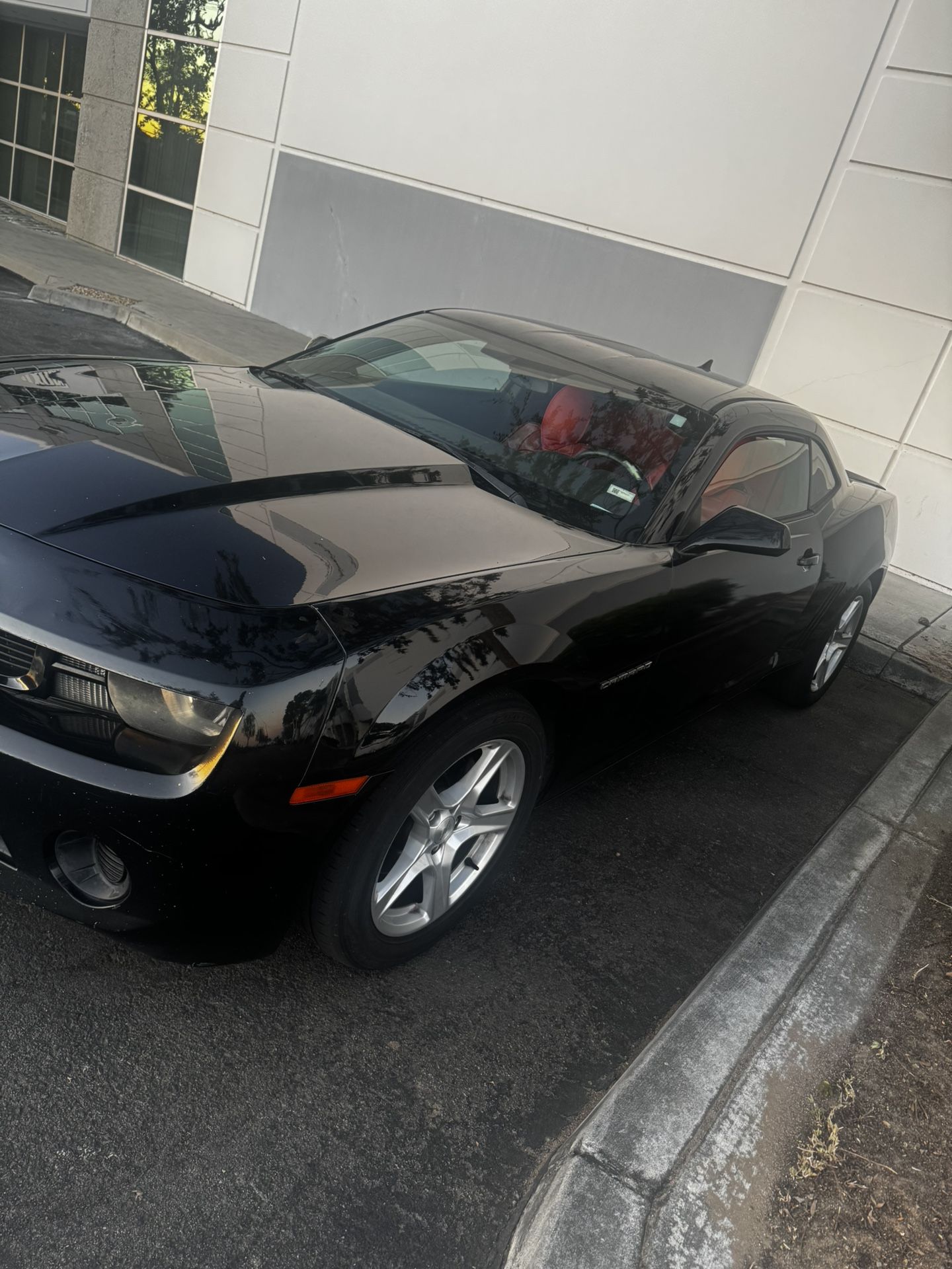 Whip