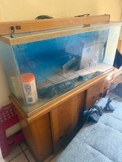 Fish tank