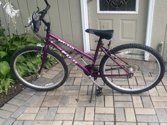 Trek 350 mountain bike 2025