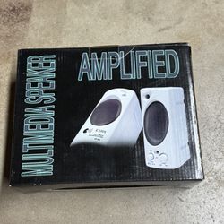 Computer Speakers 
