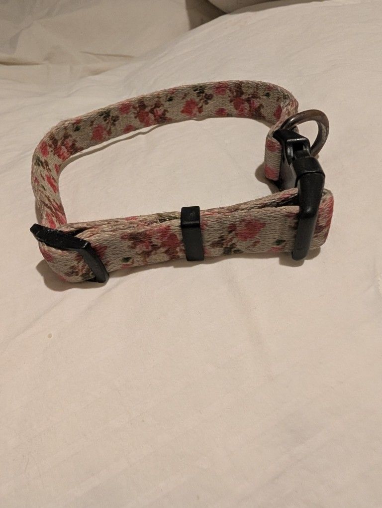 Dog Collar