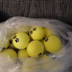 Woof Woof TENNIS Balls