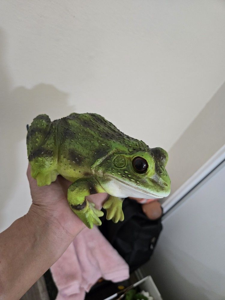 Frog