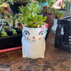 Cat Planter