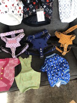 Dog Clothes And Harness