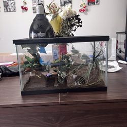 Reptile Snake Enclosure 