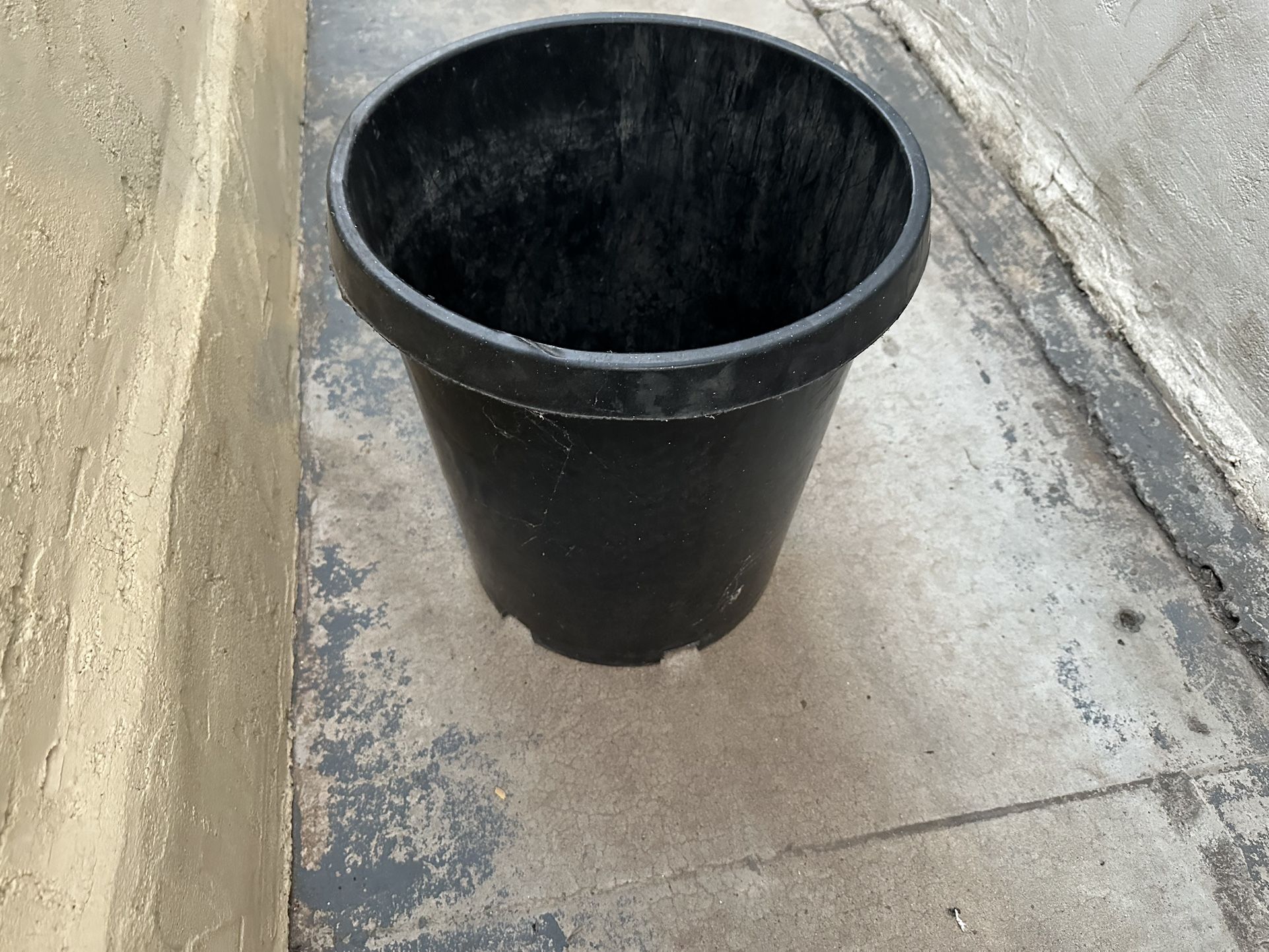 Plant Holder