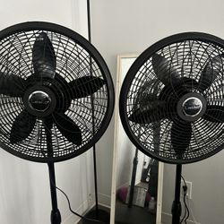 XL Fans $40 Each 
