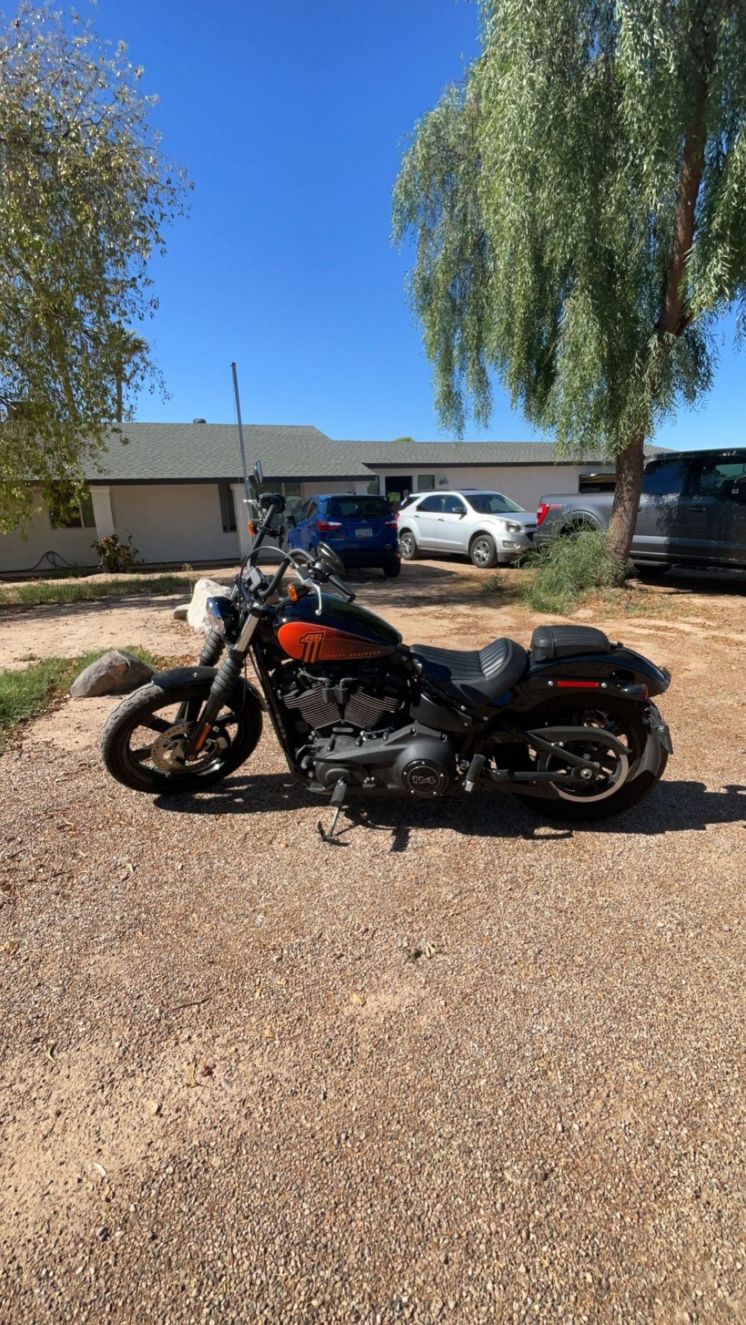 2022 Harley Davidson Street Bob