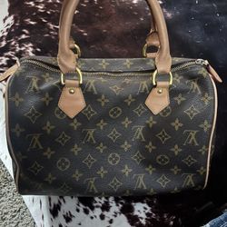 Louis Vuitton Purse 
