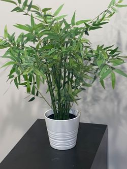 Artificial Bamboo Plant in The White Ceramic Planter from IKEA H28"