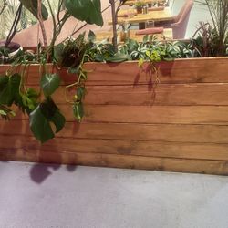Planter Box Wooden