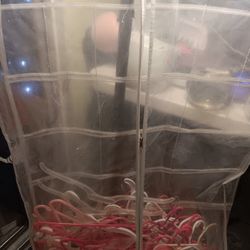 Child Clothes Hangers $15 Obo