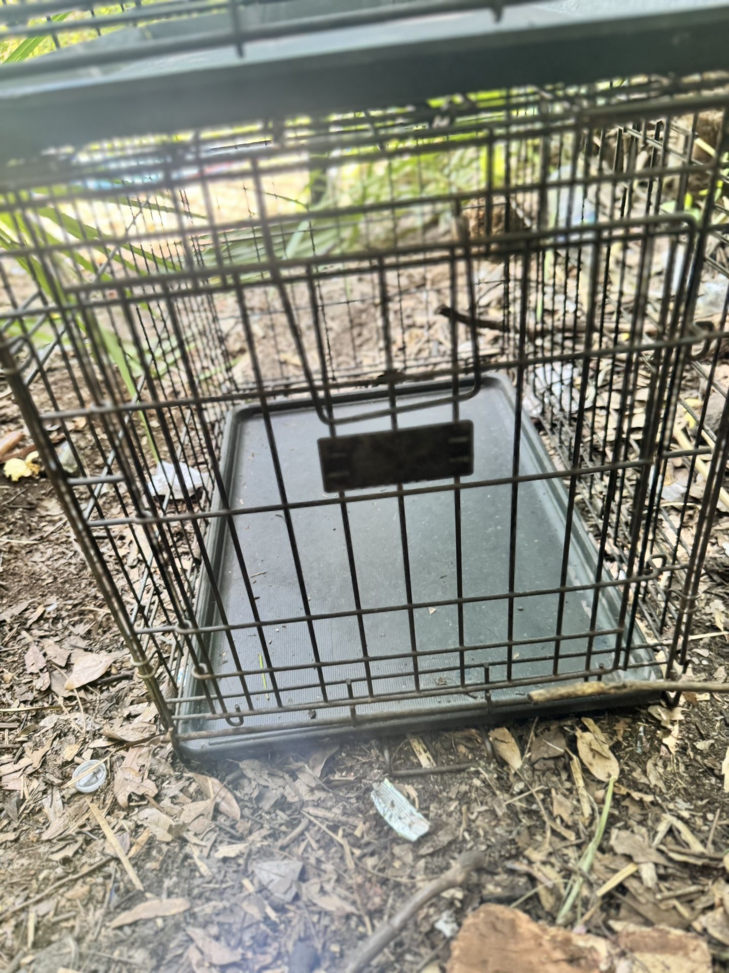 medium size metal dog crate