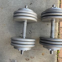 Dumbbells             110  dollars