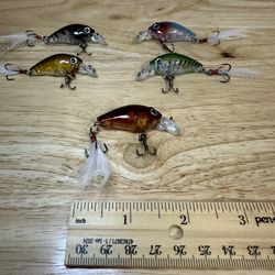 🎣 Set of 5 Minnow Fishing Lures – Premium Design (5 Colors)