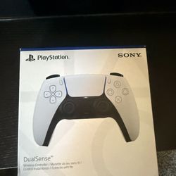 Ps5 Dual Shock Controller