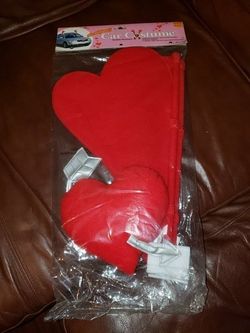 Valentine's Day  Car costume