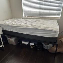 Twin Bed Frame + Box Spring + Optional Mattress – Great Condition!