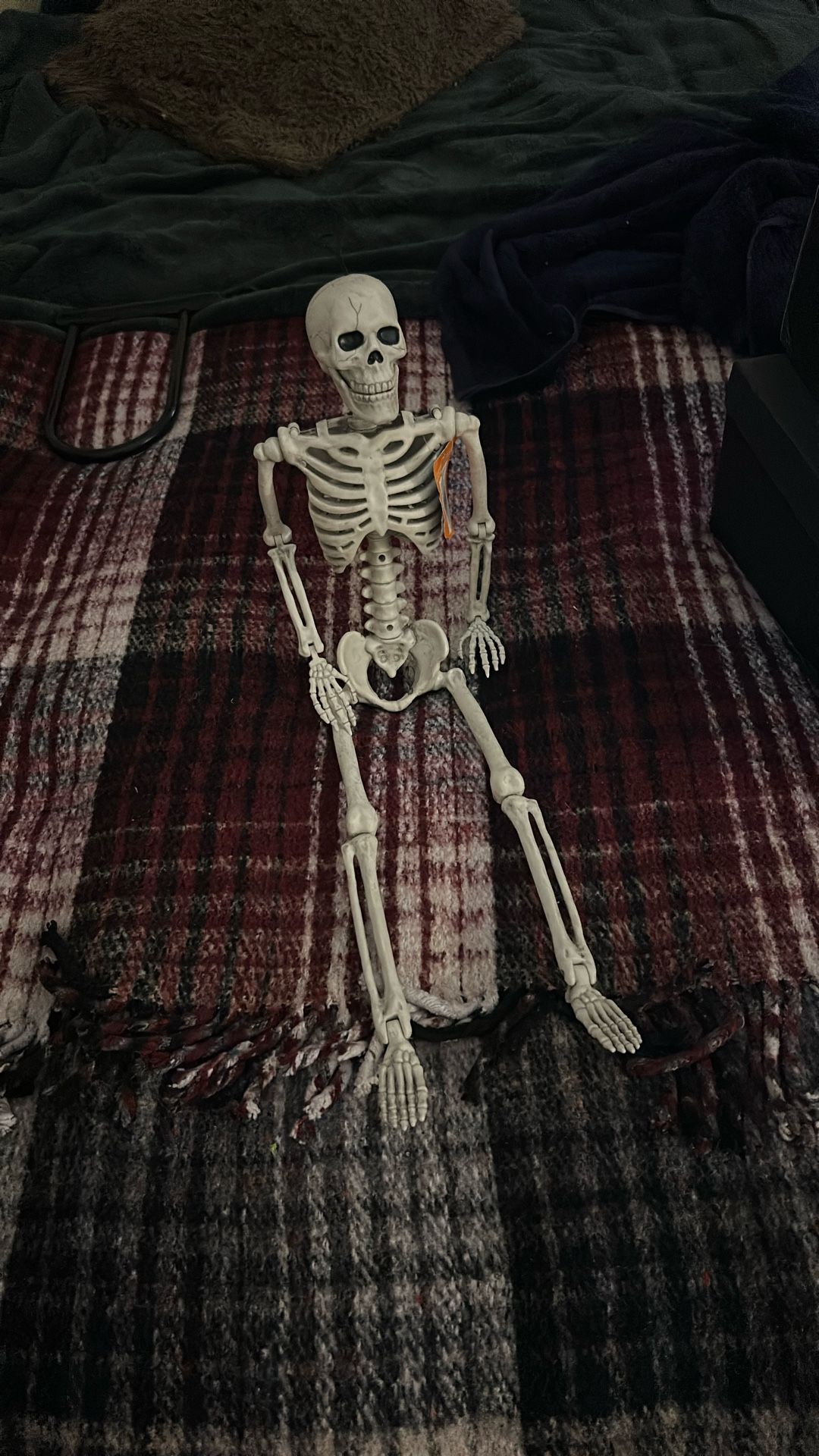 Skeleton Decoration