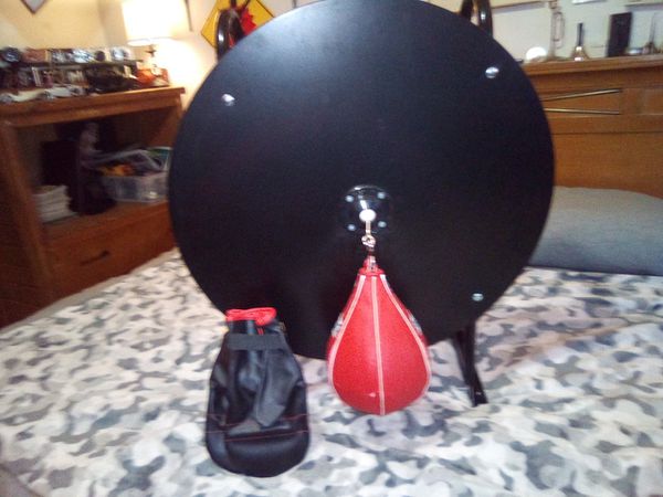 Everlast speed bag and gloves,never been used for Sale in Des Moines, WA - OfferUp