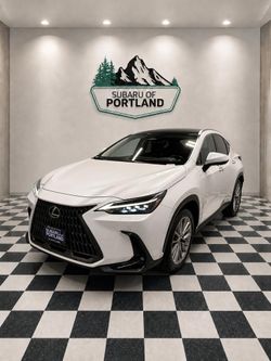 2024 Lexus NX 350