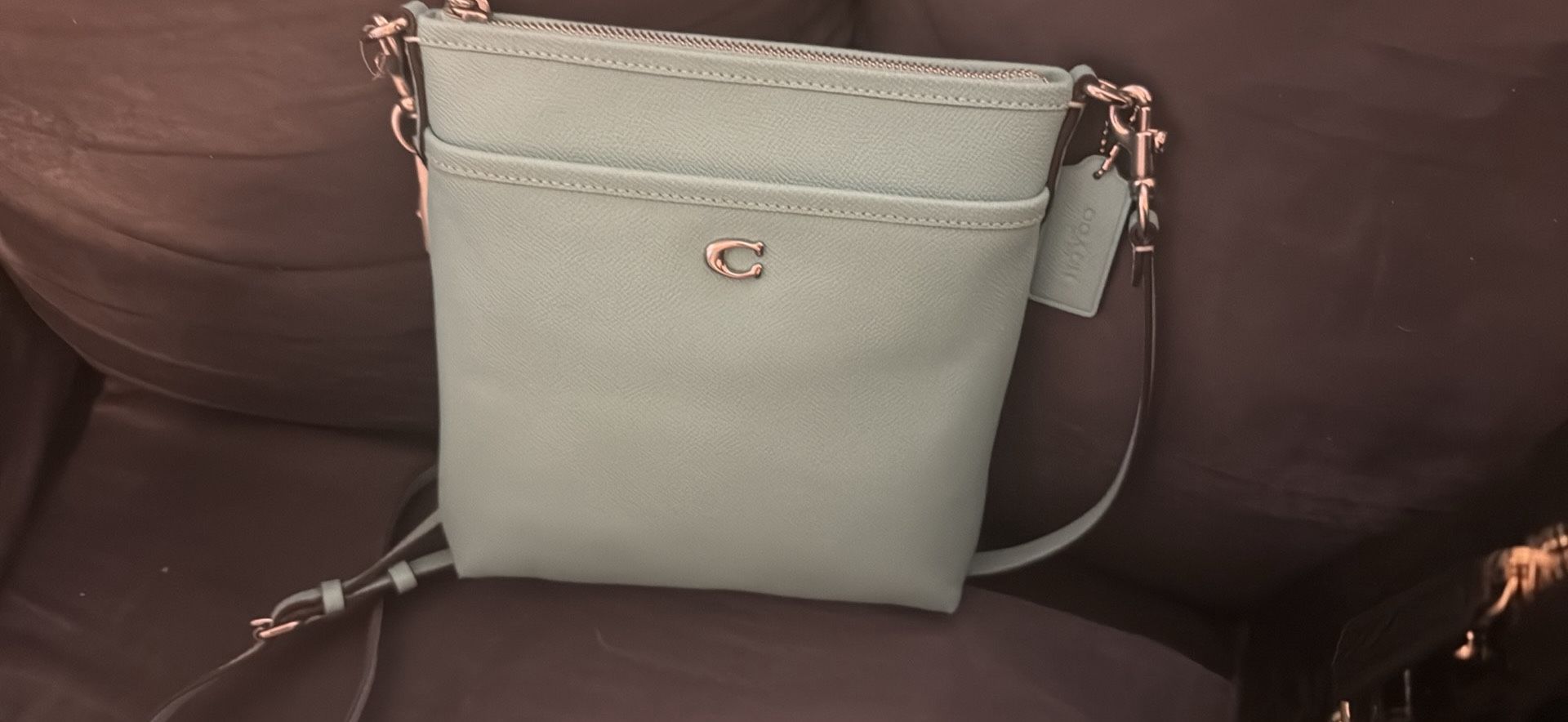 Authentic Coach And Brahmin Bags Asking 100.00