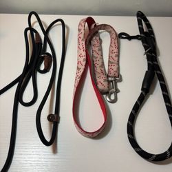 Small Dog Leashes 