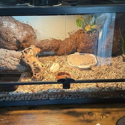 40gallon terrarium