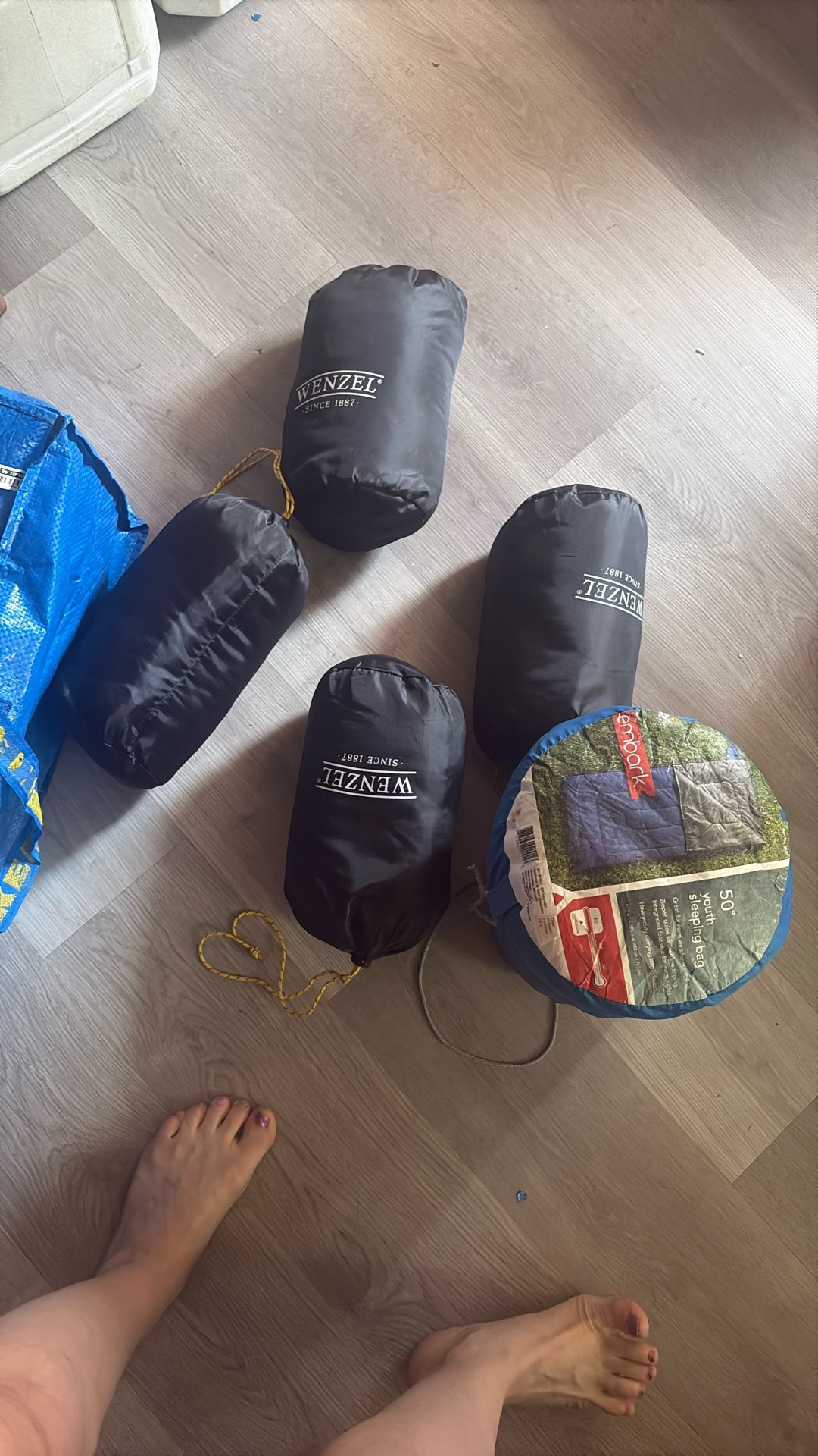 Camping Stuff Sleeping Bags 2. Four Travel Pillows