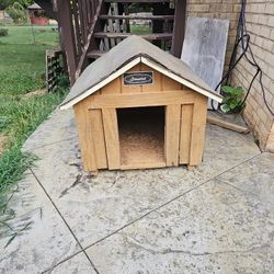 Dog  House 