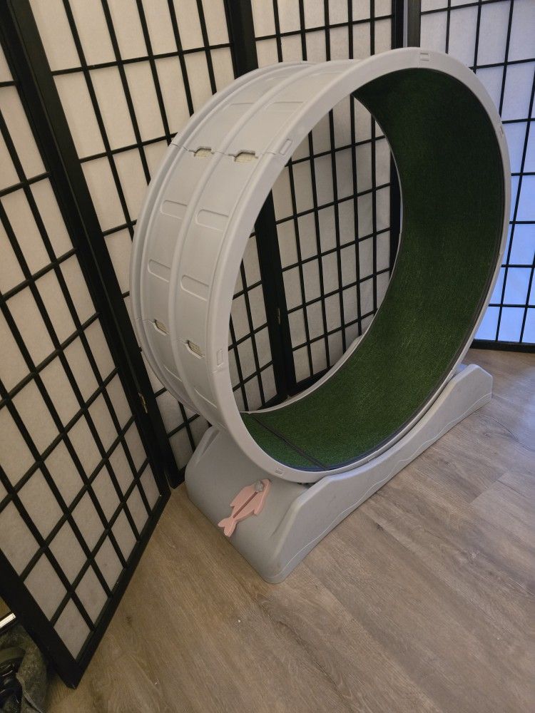 Exercise Wheel For Cats