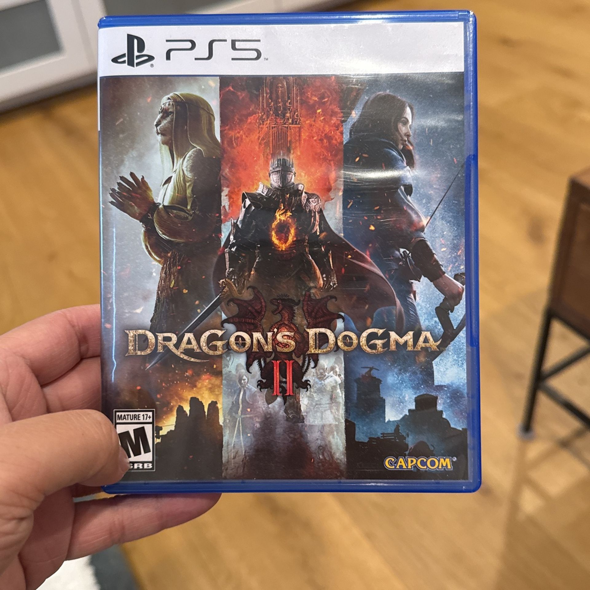 Dragons dogma 2