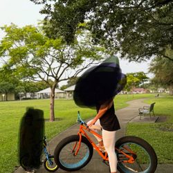Fat Tire Bike