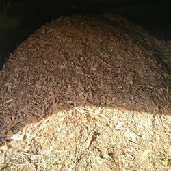Free Mulch 