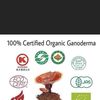 organo