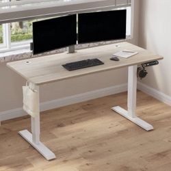 Wayfair Standing Desk