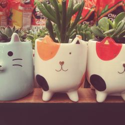 Tiny Cat Asorted Succulent In Ceramic Pot