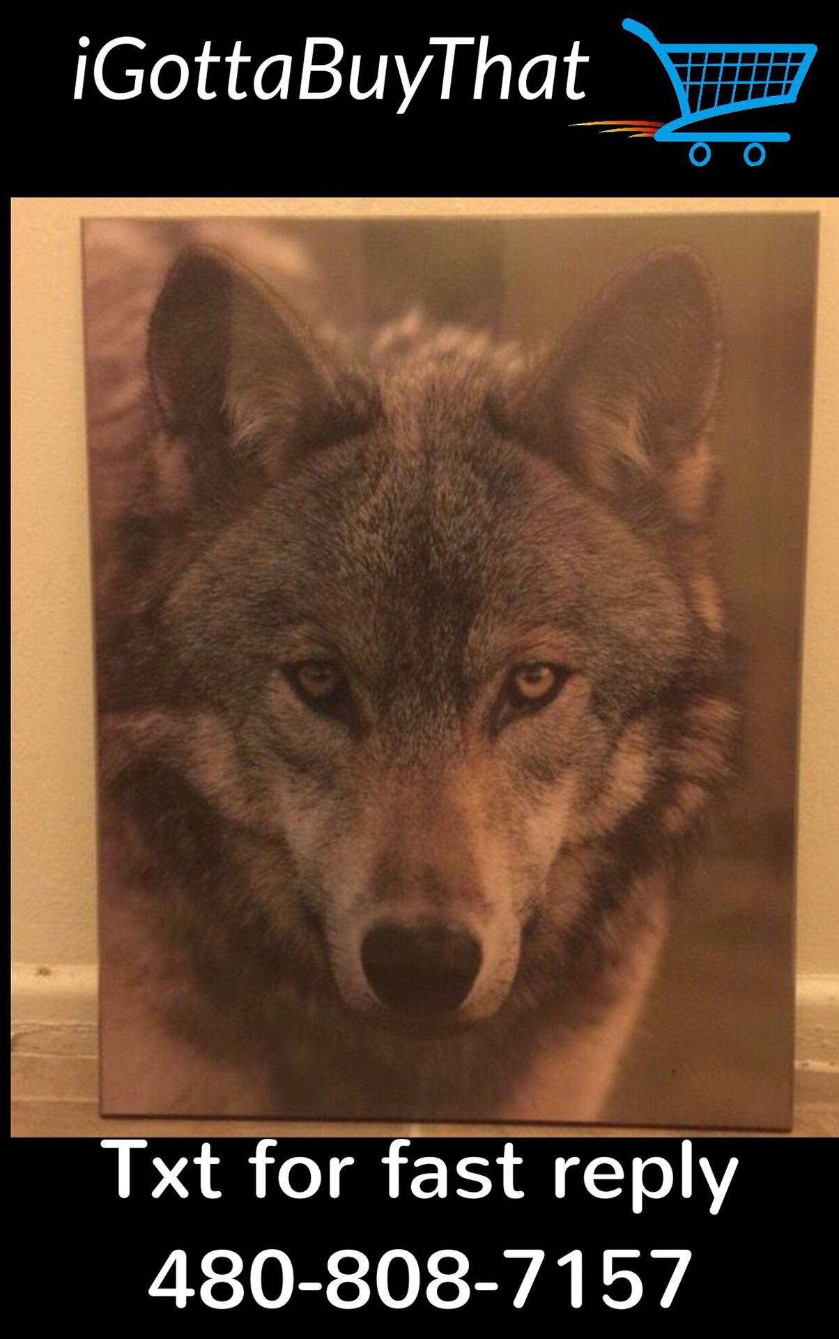 Wolf picture on hard frame 16x20 NEW