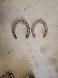Old Horse Shoes