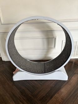 Cat Exercise Wheel 🐈